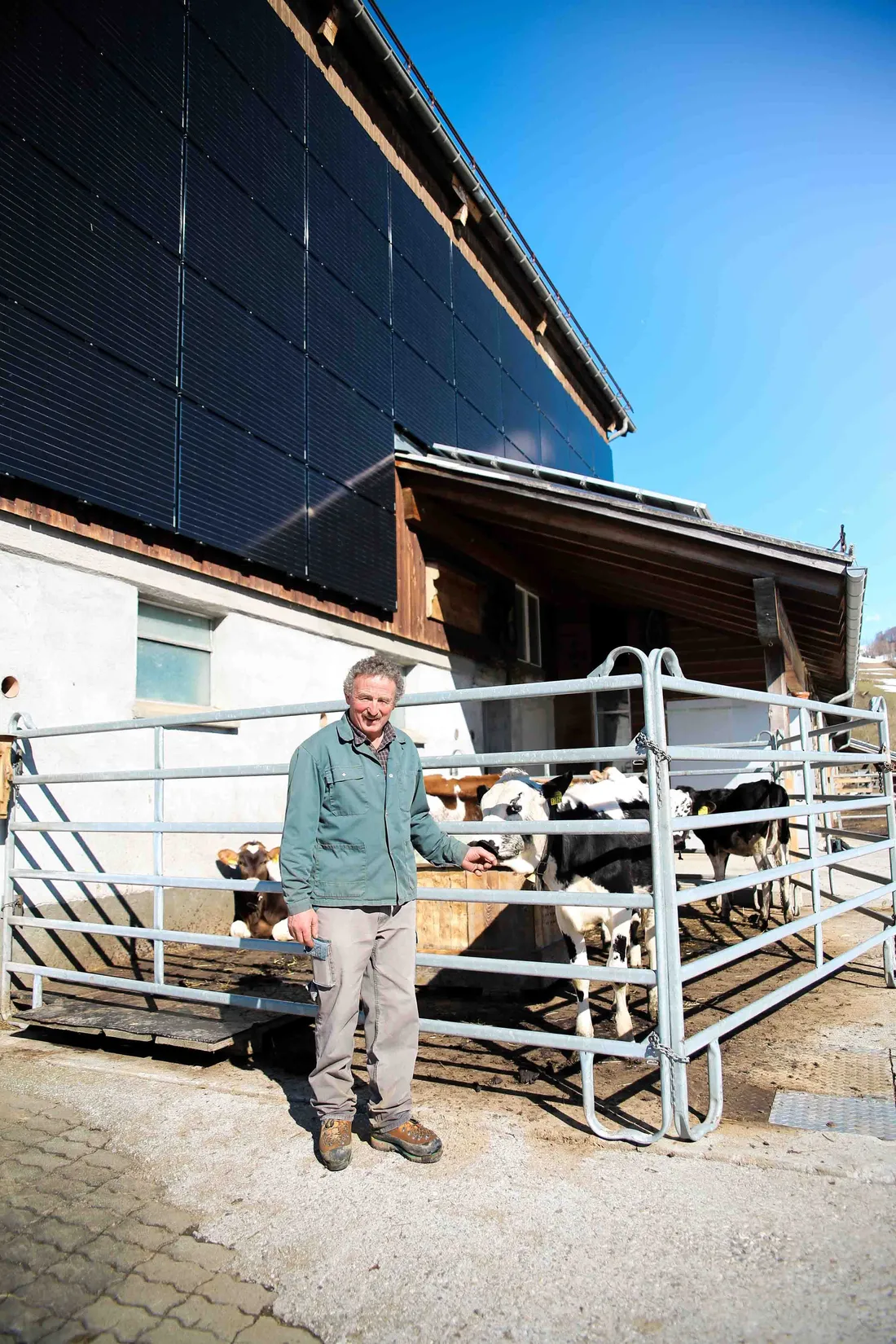 Landwirt steht vor einem Stall mit Kühen und Solaranlage