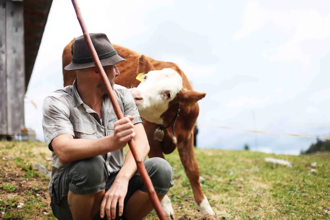 Ein Mann hockt auf einer Alpweide und hält einen Hirtenstab, während eine Kuh sich ihm nähert und den Kopf an seine Schulter lehnt.