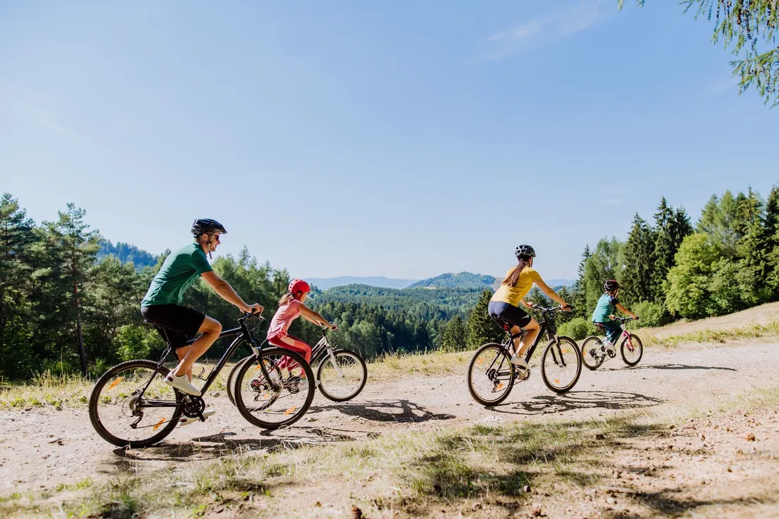 Gruppo di quattro ciclisti, tra cui un bambino, su un sentiero nel bosco con montagne sullo sfondo