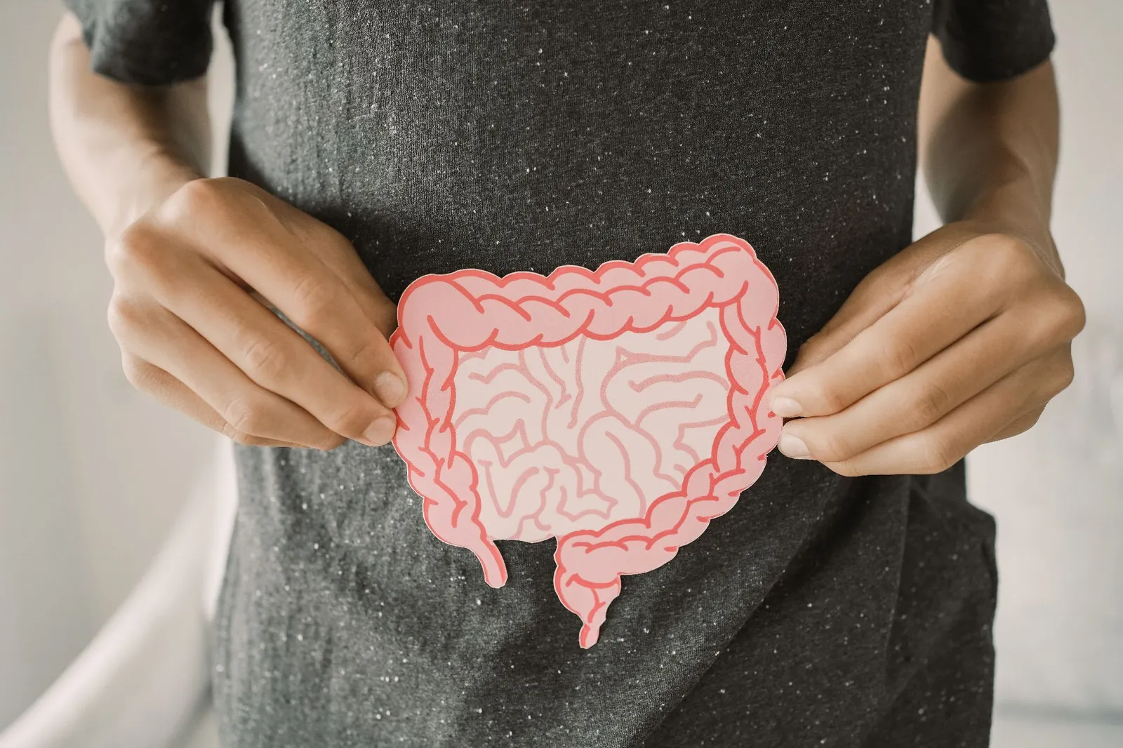 Una persona tiene davanti all’addome un’illustrazione schematica dell’intestino per rappresentare la salute intestinale.