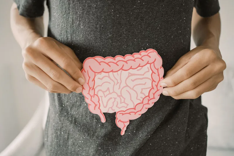 Una persona tiene davanti all’addome un’illustrazione schematica dell’intestino per rappresentare la salute intestinale.