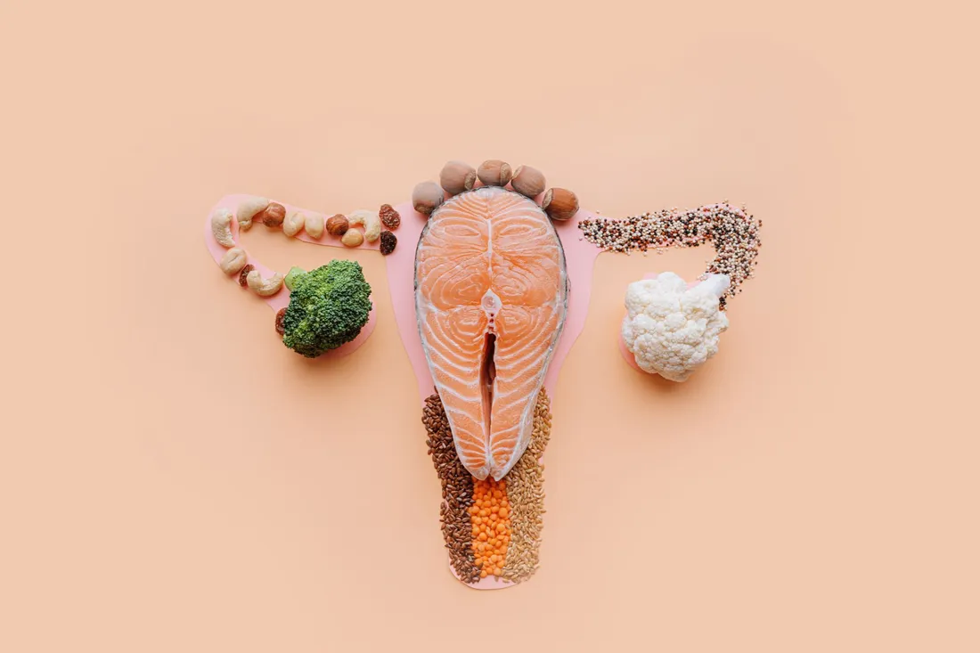 Darstellung einer Gebärmutter aus Lebensmitteln wie Lachs, Nüssen, Brokkoli, Blumenkohl, Hülsenfrüchten und Samen als Symbol für eine zyklusorientierte Ernährung.