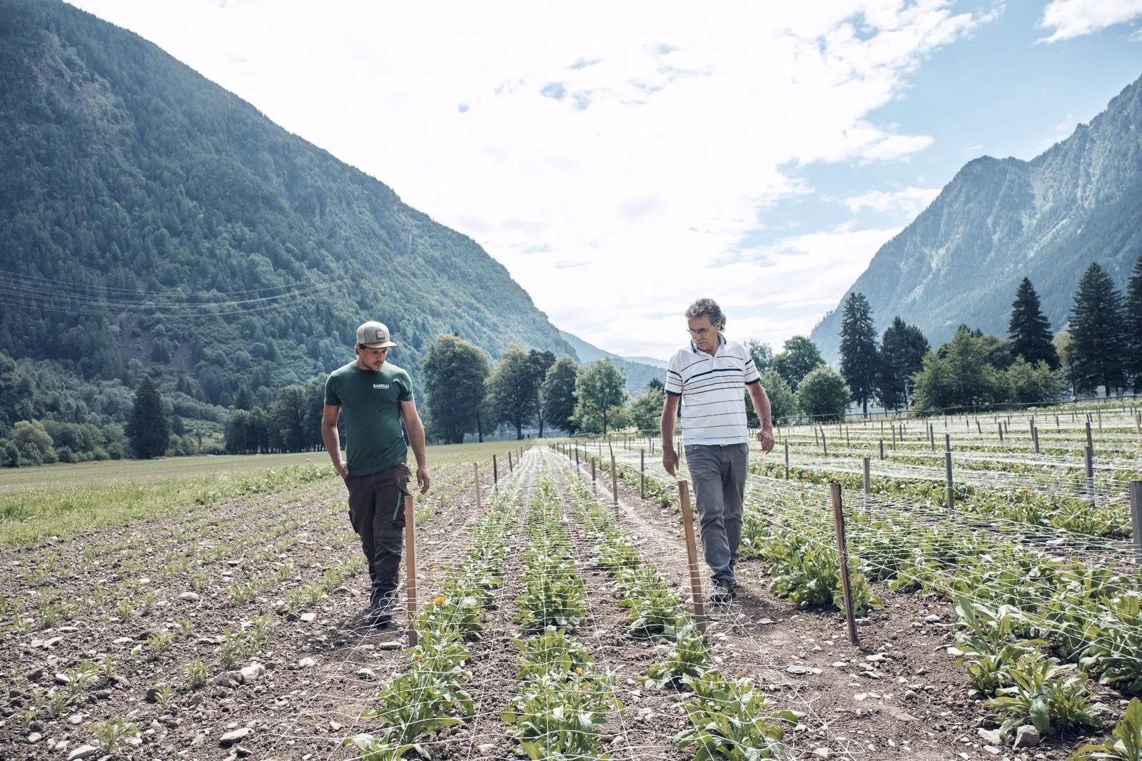 Fabrizio Raselli (links) und sein Onkel Reto Raselli (rechts) bei einer gemeinsamen Begutachtung eines Kräuterfeldes. Im Hintergrund der Lago di Poschiavo.