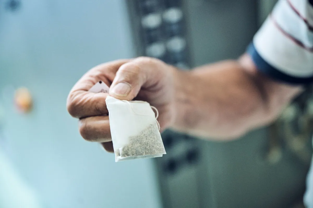 Brennnessel gemischt mit Goldrute, Zitronenmelisse und Orangenminze ergibt den wohltuenden und schmackhaften Kräutertee «Silhouette».