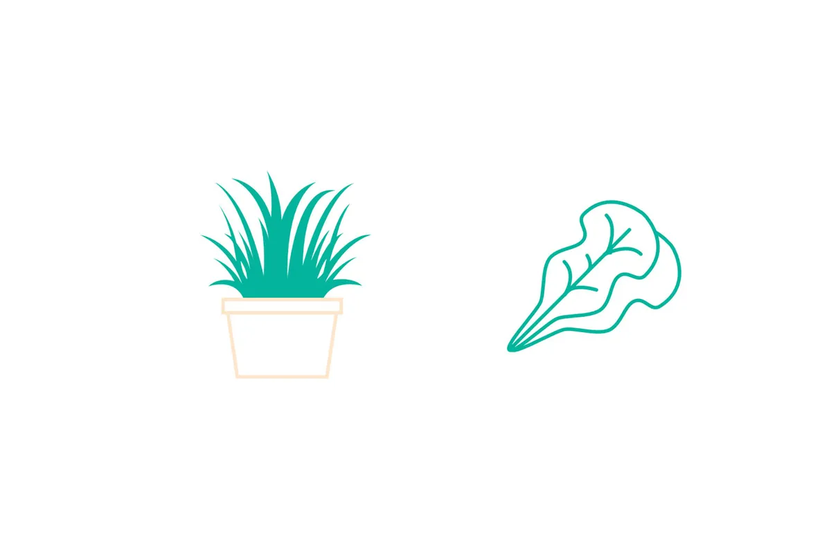 Grafik