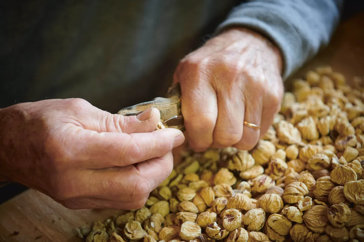 Mann schält Marroni