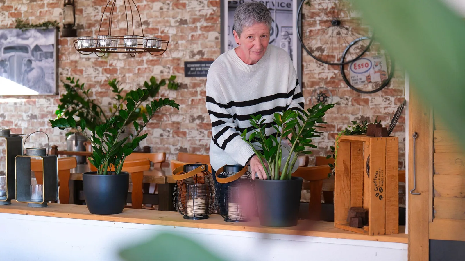 Ältere Person mit grauen Haaren und weißem Pullover mit schwarzen Streifen gießt eine Zimmerpflanze in einem Café mit Backsteinwand.