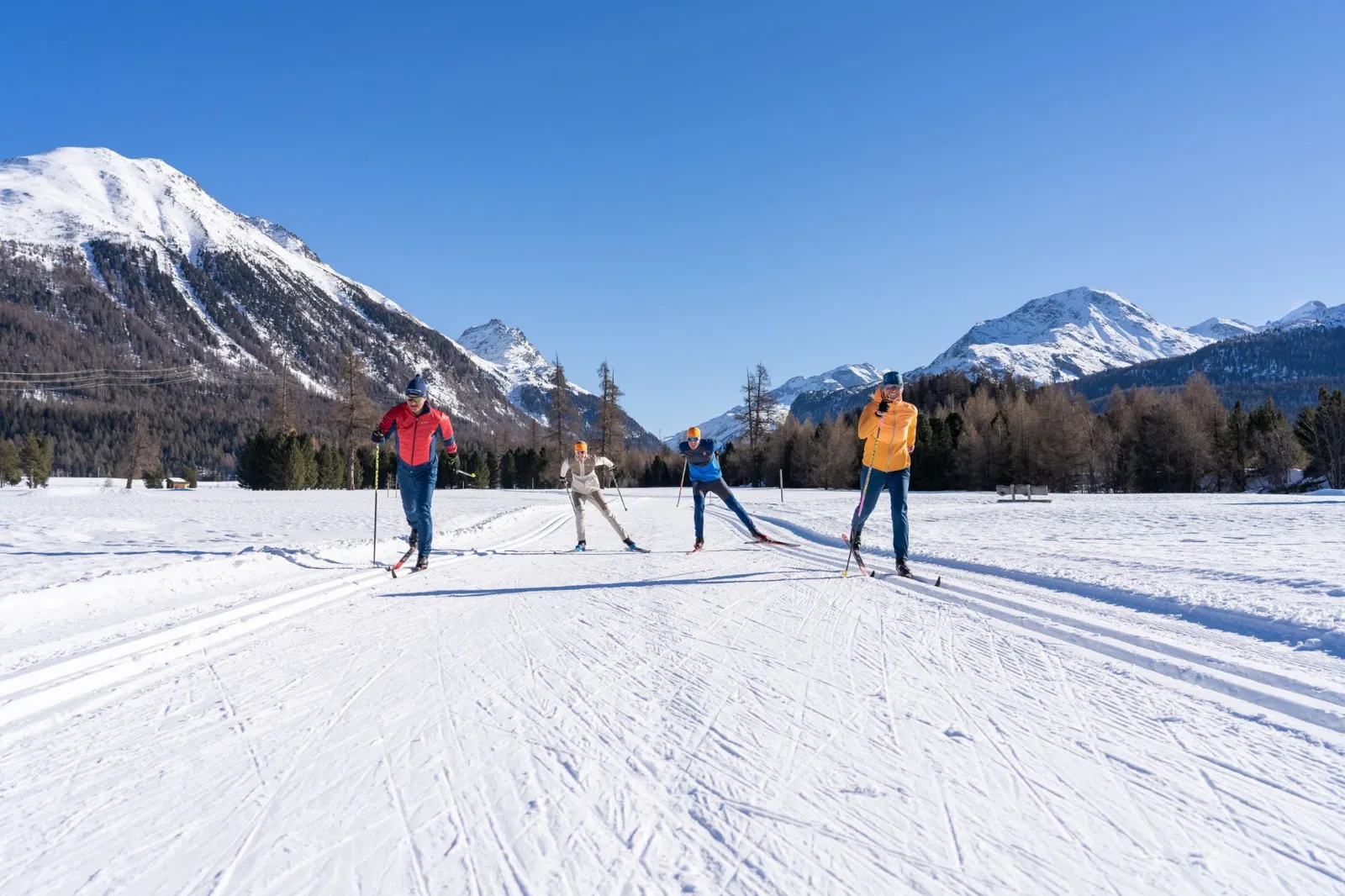4 Langläufer auf einer Loipe