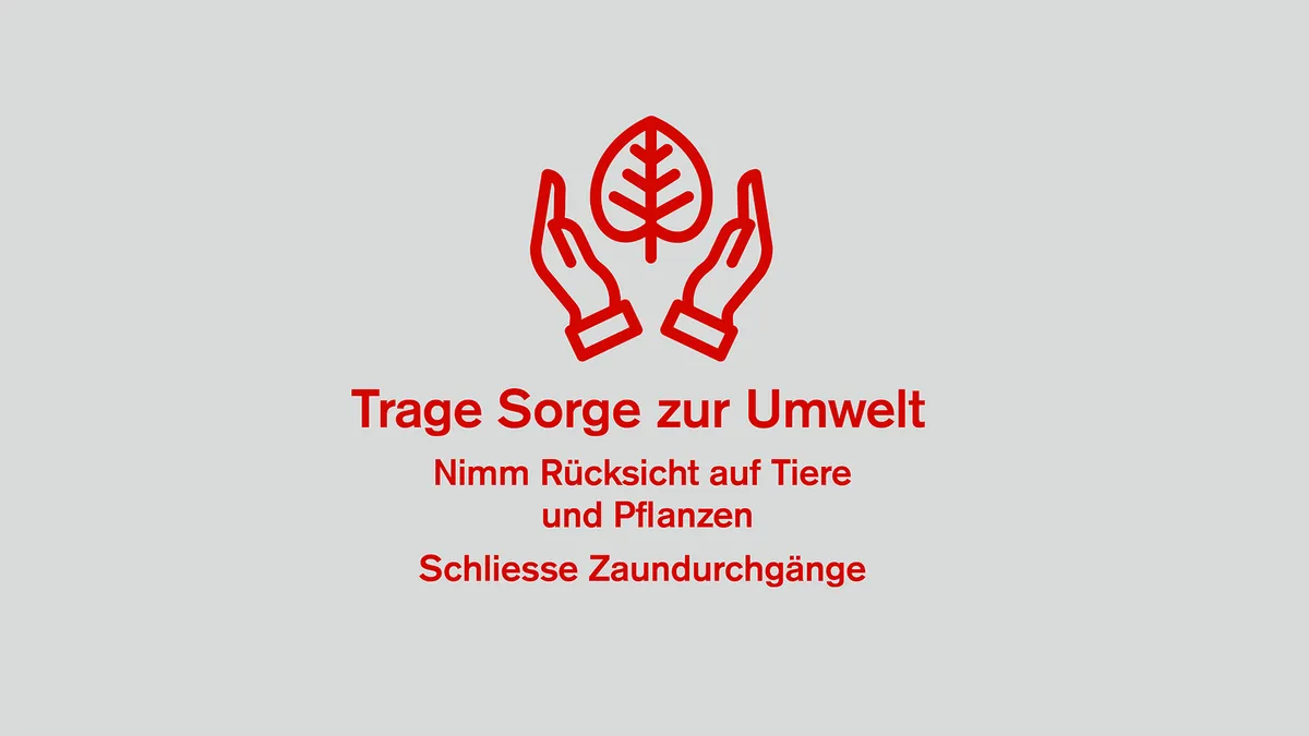 Illustration Bike-Knigge 2: Trage Sorge zur Umwelt