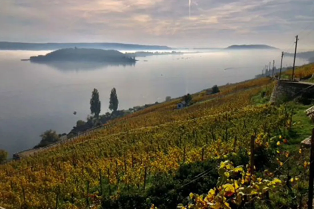 Blick auf den Bielersee von oben