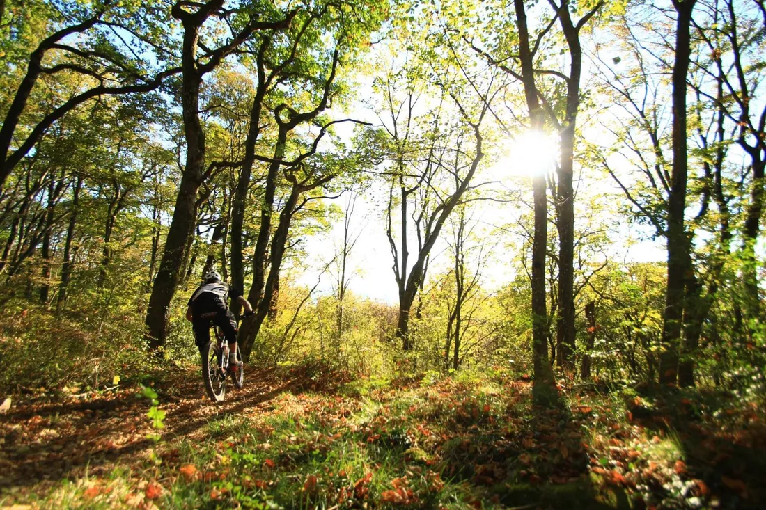 Schlössertour von Aarau entlang dem Jurasüdfuss, Bikebuebe