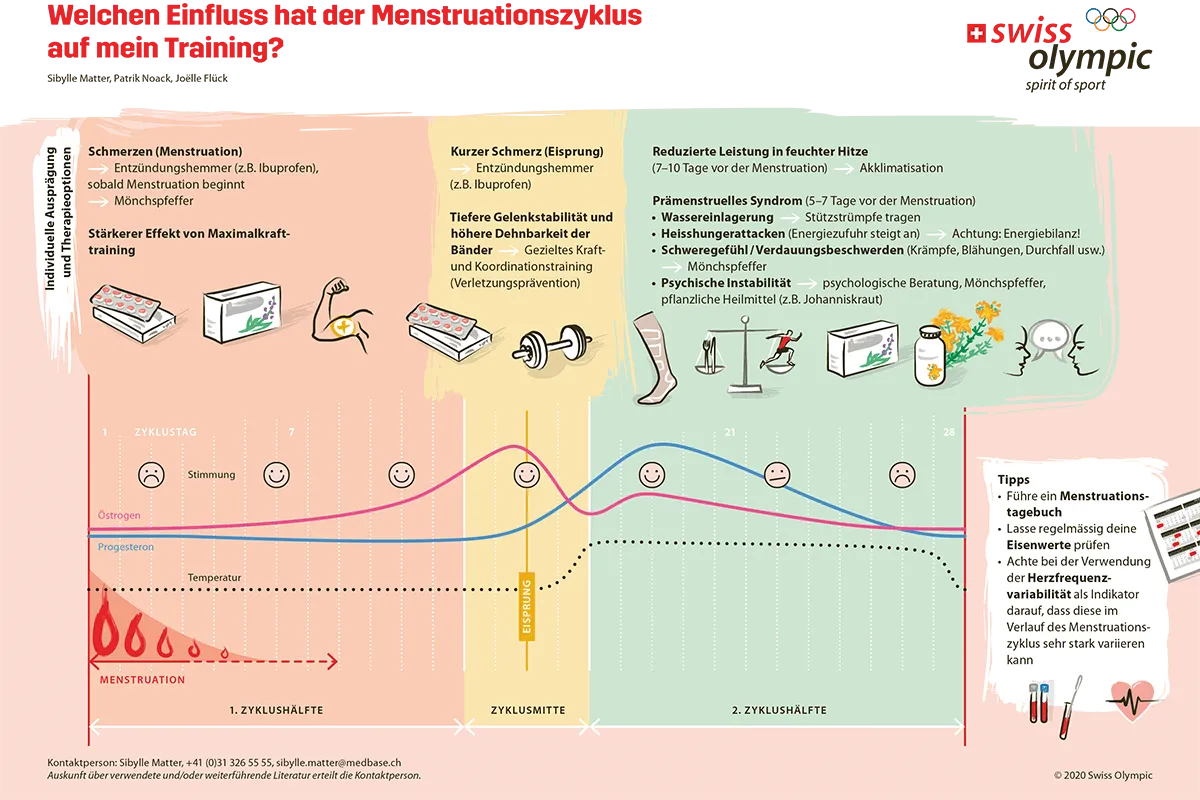 Swiss Olympic Zyklusablauf
