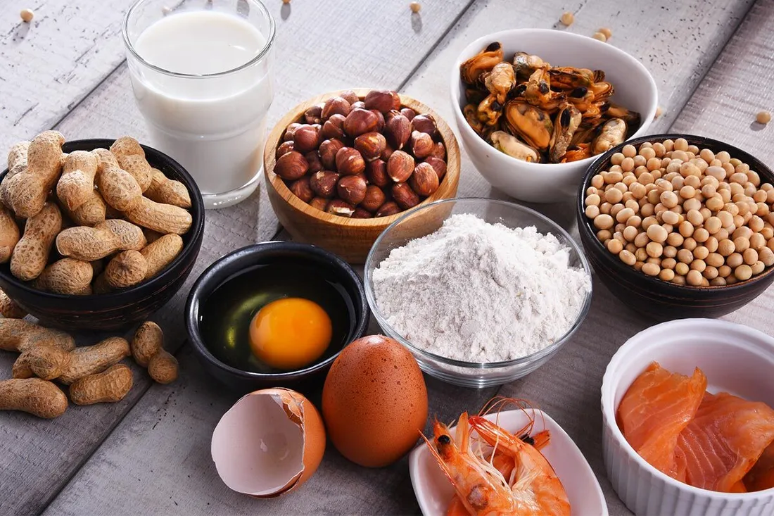 Verschiedene Zutaten auf weißem Untergrund, darunter Erdnüsse, Haselnüsse, Sojabohnen, Mehl, Eier, Milch, getrocknete Pilze und geräucherter Lachs