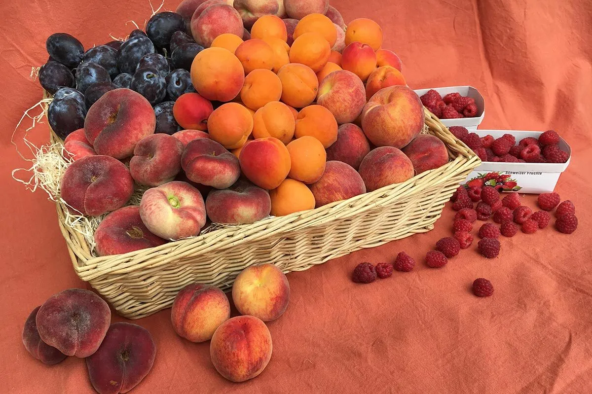 Korb mit frischen Pfirsichen, Aprikosen und Trauben, daneben Schalen mit Himbeeren auf orangefarbenem Tuch